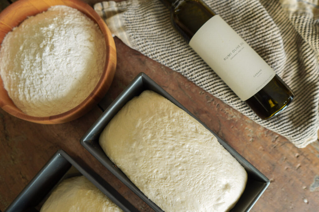 Two uncooked loaves of sourdough sandwich bread rising in bread pans on a wooden table top along with a bowl of flour, tea towel, and glass bottle of olive oil