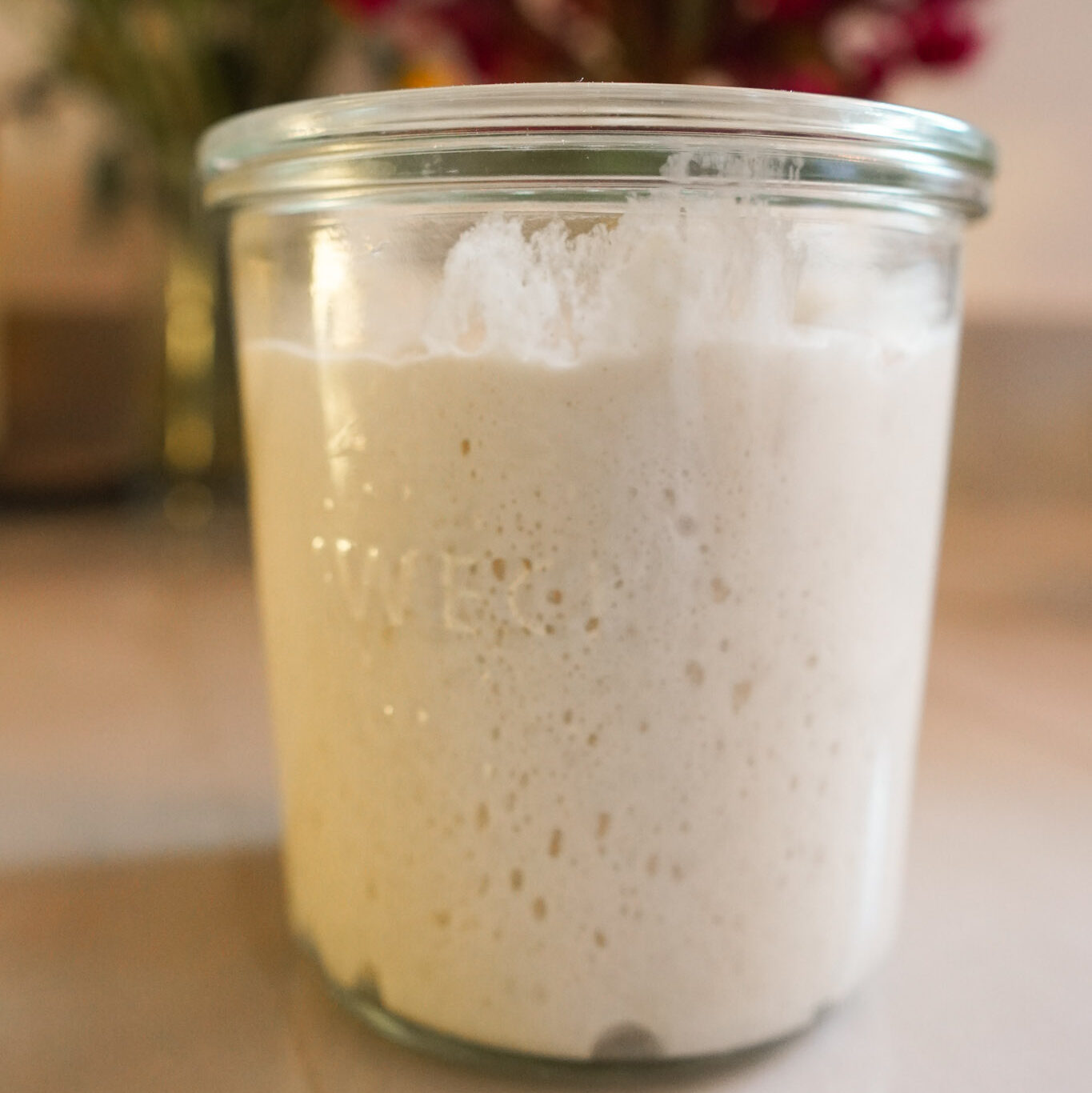 Jar of bubbly sourdough starter sitting on a white countertop with a vase of flowers behind it